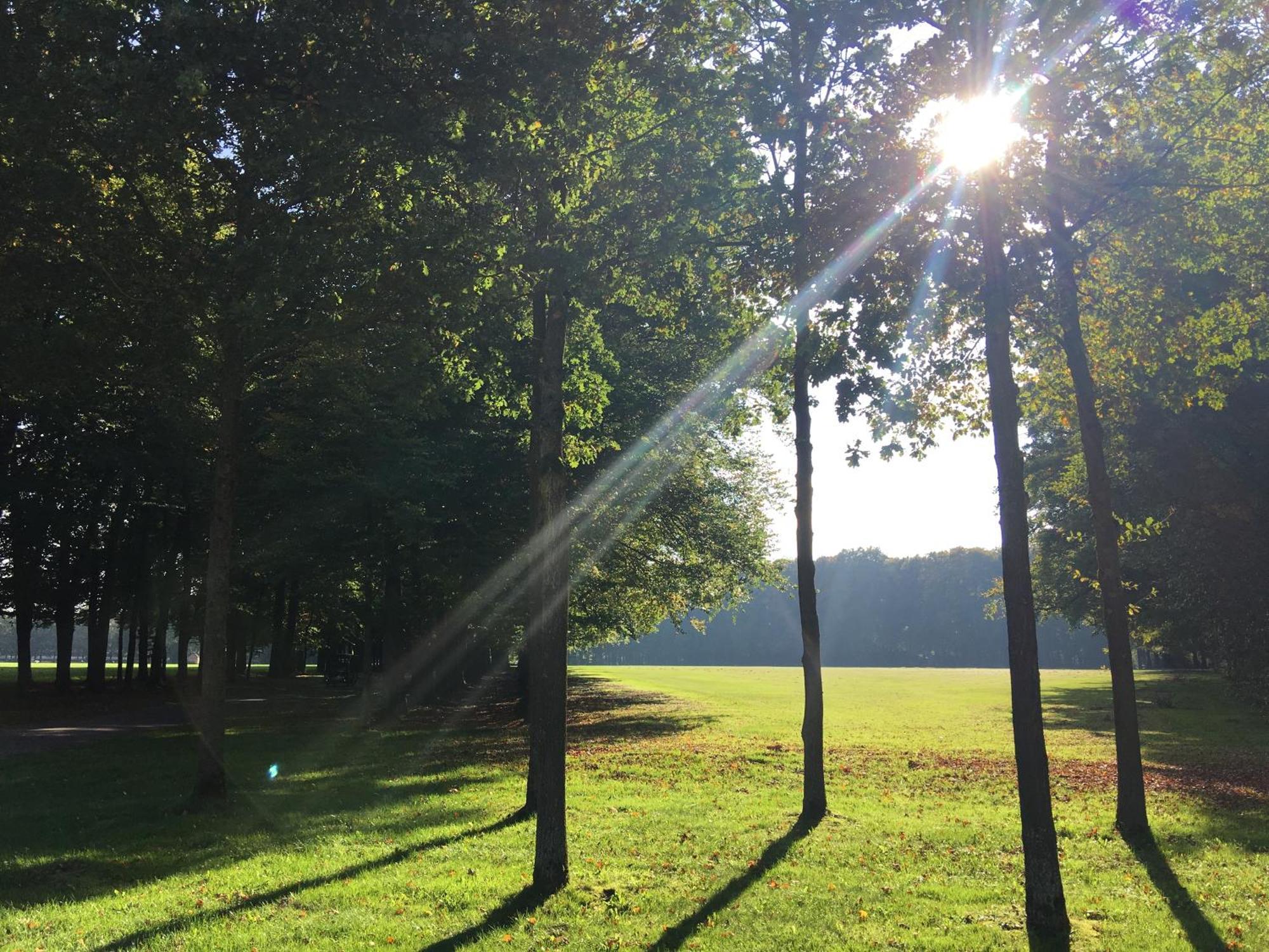 De Slaapfabriek Vakantiehuis En Trainingslocatie Teuge Exteriör bild