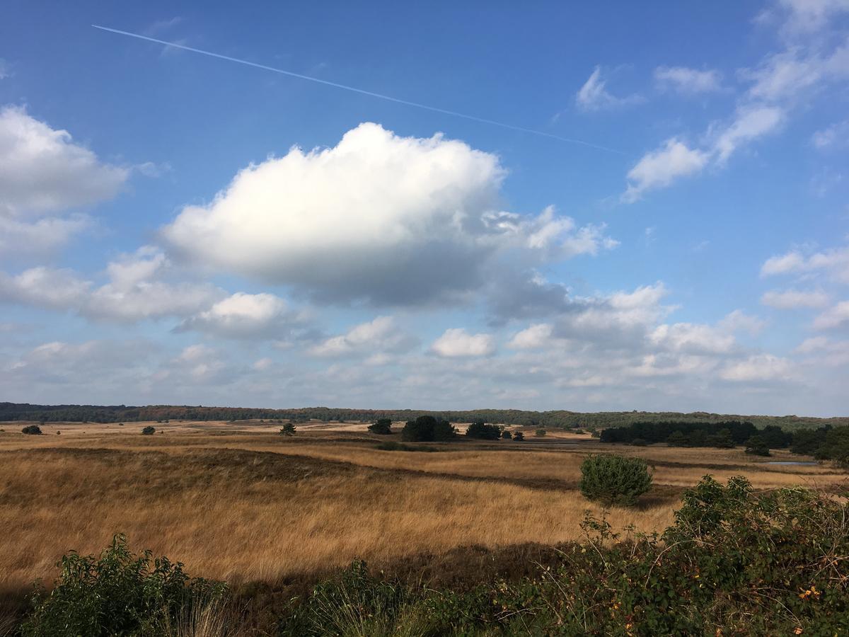 De Slaapfabriek Vakantiehuis En Trainingslocatie Teuge Exteriör bild